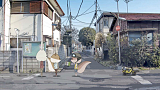 ショートアニメ「紙兎ロペ」 (C) 紙兎ロペプロジェクト