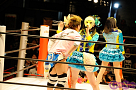 ニコニコ超会議・超プロレスリング「アイドルプロレス 仮面女子 vs ほもいろクローバーZ」より