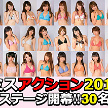 ミスアクション2013