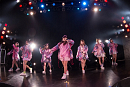 Cheeky Parade