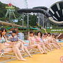 人気の画像