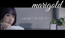 「marigold」MV