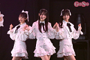 Rain Tree