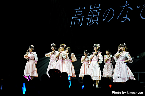 高嶺のなでしこ