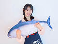 AKB48 花田藍衣　お魚のぬいぐるみと