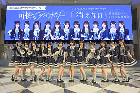 可憐なアイボリー　Photo by 林晋介