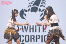 WHITE SCORPION