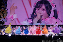 SWEET STEADY ARENA LIVE 2026 -SUMMER- 「STAEDY REVOLUTION」