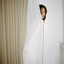 人気の画像